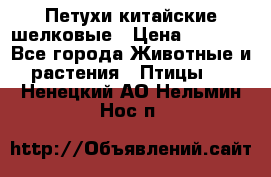 Петухи китайские шелковые › Цена ­ 1 000 - Все города Животные и растения » Птицы   . Ненецкий АО,Нельмин Нос п.